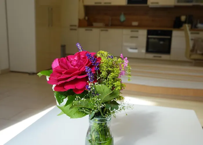 Im Goldtal Apartment Bad Abbach